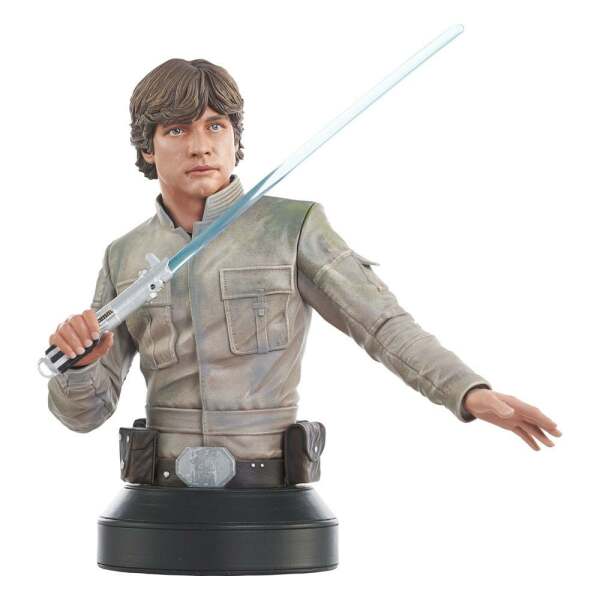 Busto Luke Skywalker Star Wars Episode V 1/6 15 cm Gentle Giant - Collector4U.com