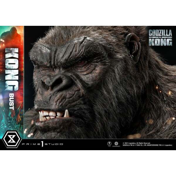 Busto Kong Godzilla vs Kong 67 cm - Collector4U.com