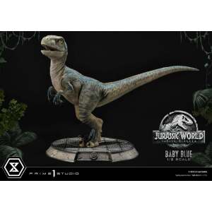 Estatua Baby Blue Jurassic World: Fallen Kingdom Prime Collectibles 1/2 34cm Prime 1 Studio - Collector4U.com