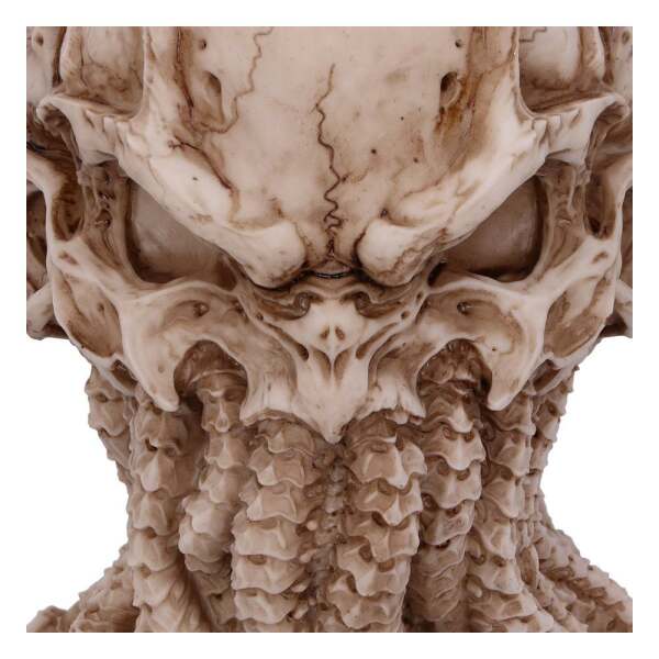 Figura Skull Cthulhu 20 cm - Collector4u.com