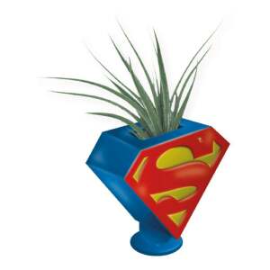 Maceta Superman Logo Dc Comics