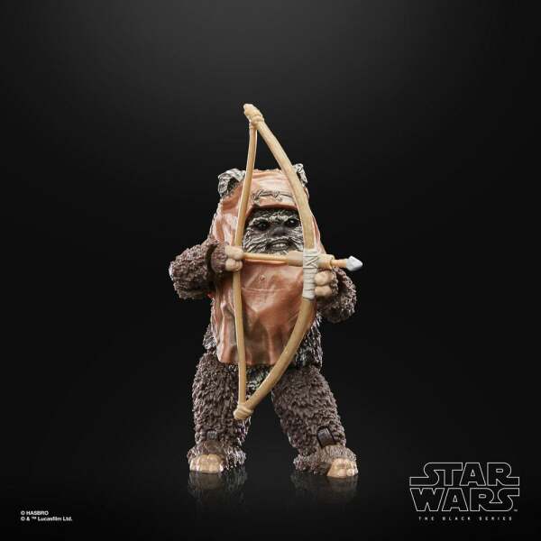 Figura Wicket Star Wars Episode VI 40th Anniversary Black Series 15 cm - Collector4u.com