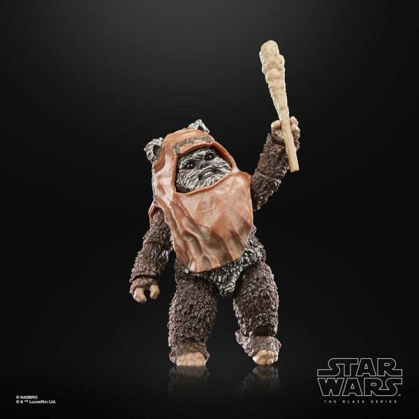 Figura Wicket Star Wars Episode VI 40th Anniversary Black Series 15 cm - Collector4u.com