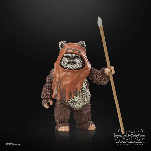 Figura Wicket Star Wars Episode VI 40th Anniversary Black Series 15 cm - Collector4u.com