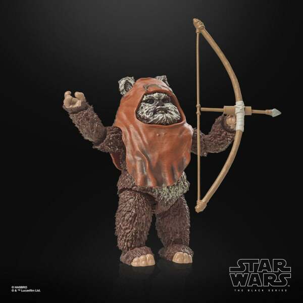 Figura Wicket Star Wars Episode VI 40th Anniversary Black Series 15 cm - Collector4u.com