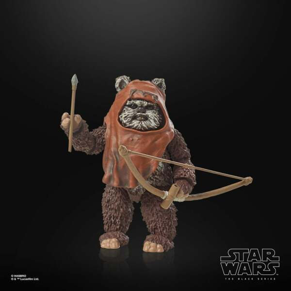 Figura Wicket Star Wars Episode VI 40th Anniversary Black Series 15 cm - Collector4u.com