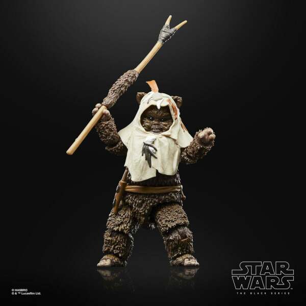 Figura Paploo Star Wars Episode VI 40th Anniversary Black Series 15 cm - Collector4u.com