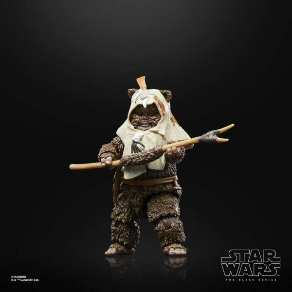 Figura Paploo Star Wars Episode VI 40th Anniversary Black Series 15 cm - Collector4u.com