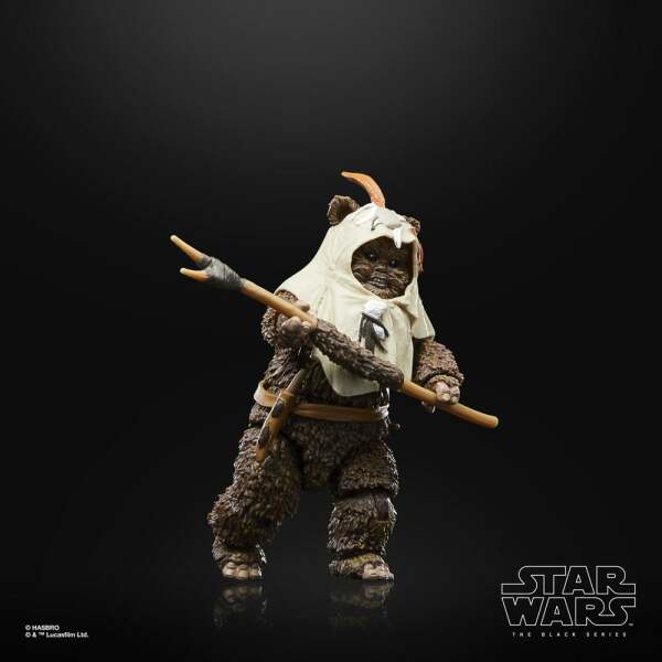 Figura Paploo Star Wars Episode VI 40th Anniversary Black Series 15 cm - Collector4u.com