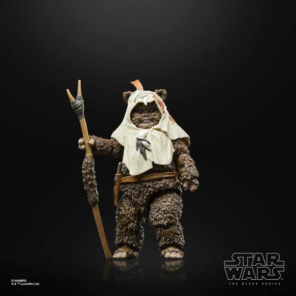 Figura Paploo Star Wars Episode VI 40th Anniversary Black Series 15 cm - Collector4u.com