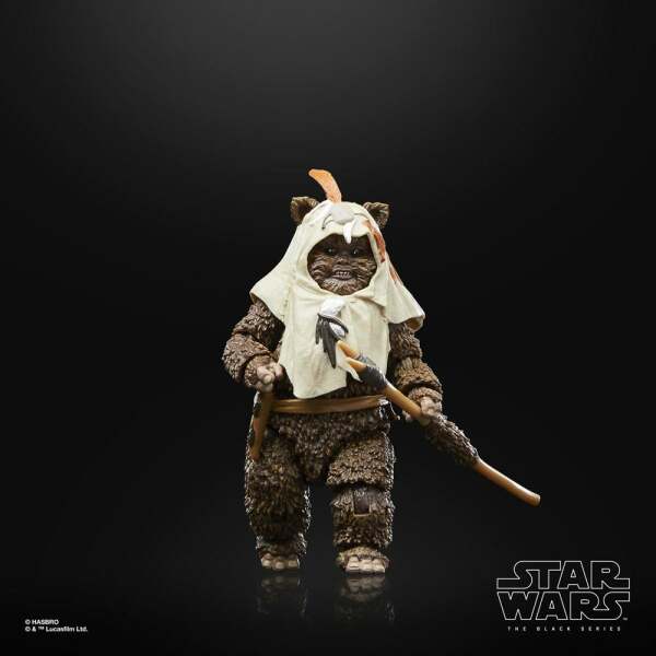 Figura Paploo Star Wars Episode VI 40th Anniversary Black Series 15 cm - Collector4u.com