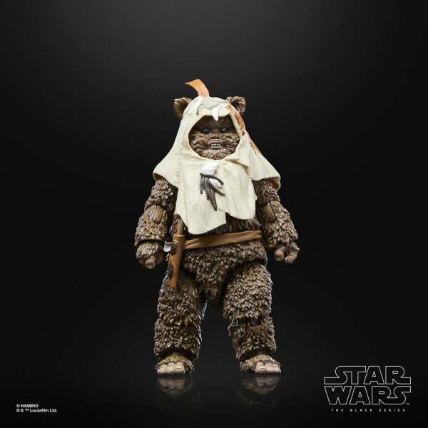 Figura Paploo Star Wars Episode VI 40th Anniversary Black Series 15 cm - Collector4u.com