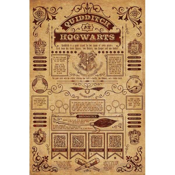 Harry Potter Set de 4 Pósteres Quidditch at Hogwarts 61 x 91 cm (4)