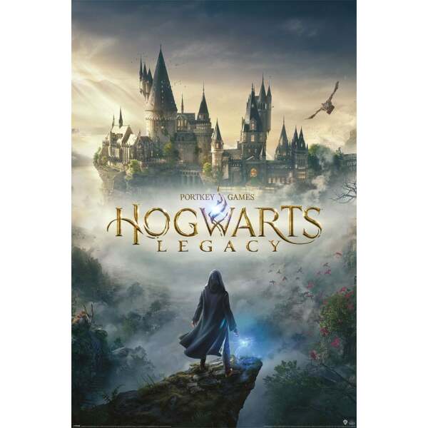 Hogwarts Legacy Set de 5 Pósteres Wizarding World Universe 61 x 91 cm (5)