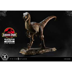 Jurassic Park Estatua Prime Collectibles 1/10 Velociraptor Open Mouth 19 cm