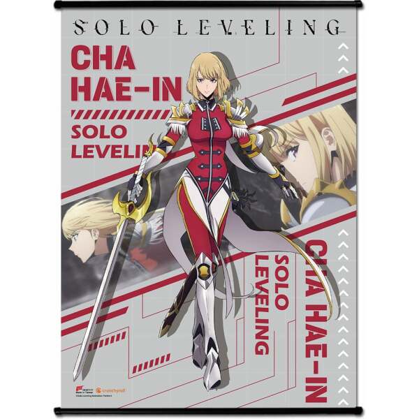 Solo Leveling Póster Tela Cha Hae-In 44 x 33 cm