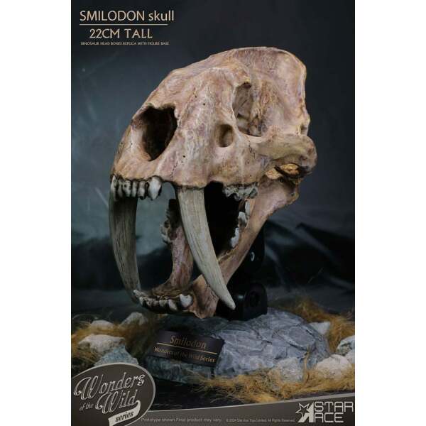 Wonders of the Wild Series Estatua Smilodon Skull Fossil 22 cm