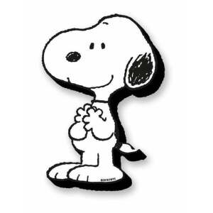 Peanuts: Snoopy Funky Chunky Magnets