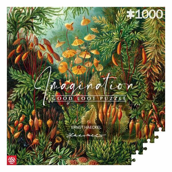 Ernst Haeckel Puzzle Imagination Muscinae (1000 piezas)