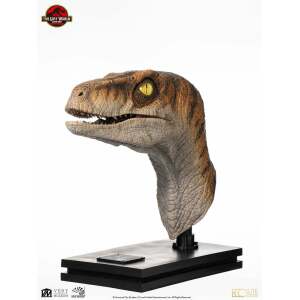 Jurassic Park Estatua tamaño real Male Velociraptor 75 cm