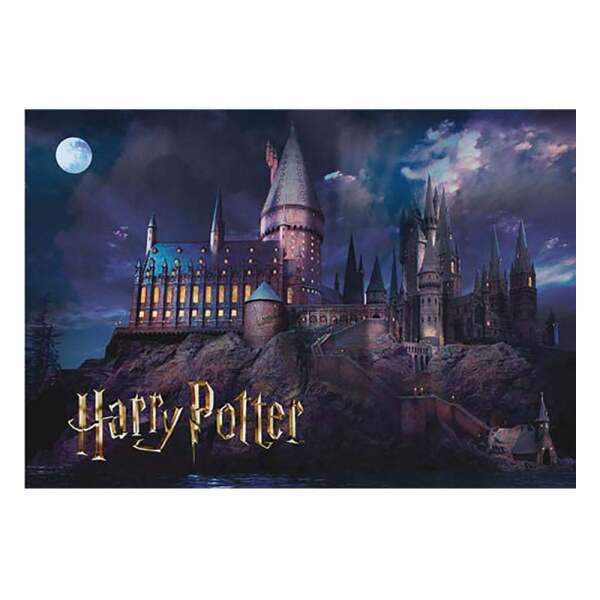 Harry Potter Puzzle Hogwarts (50 piezas)